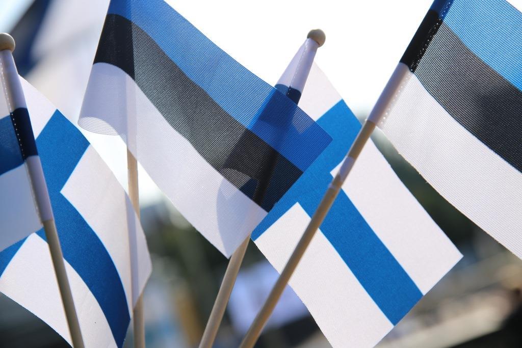 Soome-ja-Eesti-lipud.jpg