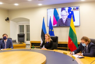 Видеовстреча премьер-министров Эстонии и Литвы